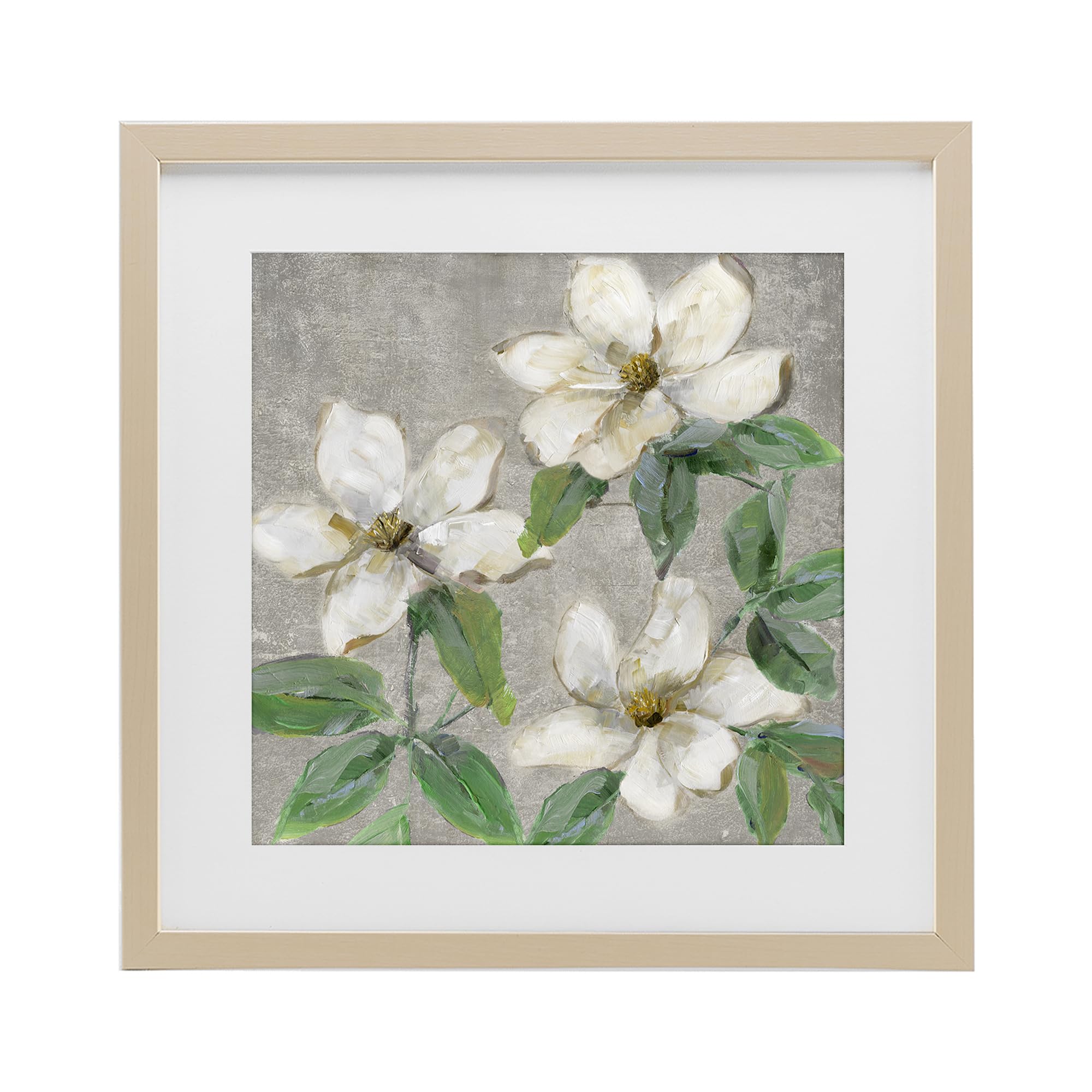 Stupell Industries 'Ivory Magnolia Trio', Framed Print Under Glass, Brown, 13 x 13 Inches, Easy to Hang and Sturdy, Made in USA, by Sally Swatland