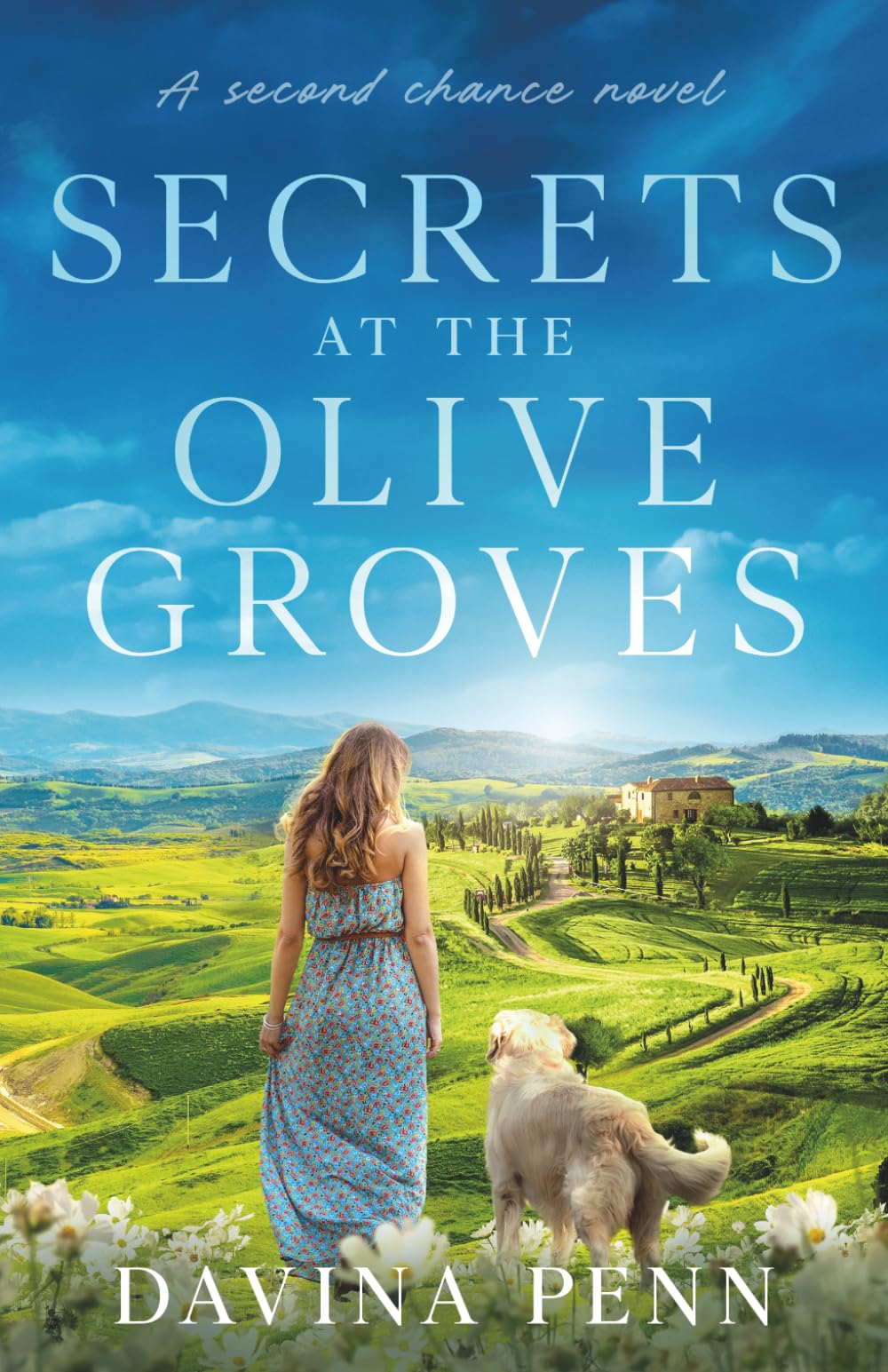 Secrets at the Olive Groves: A second chance novel (Rural Fiction)