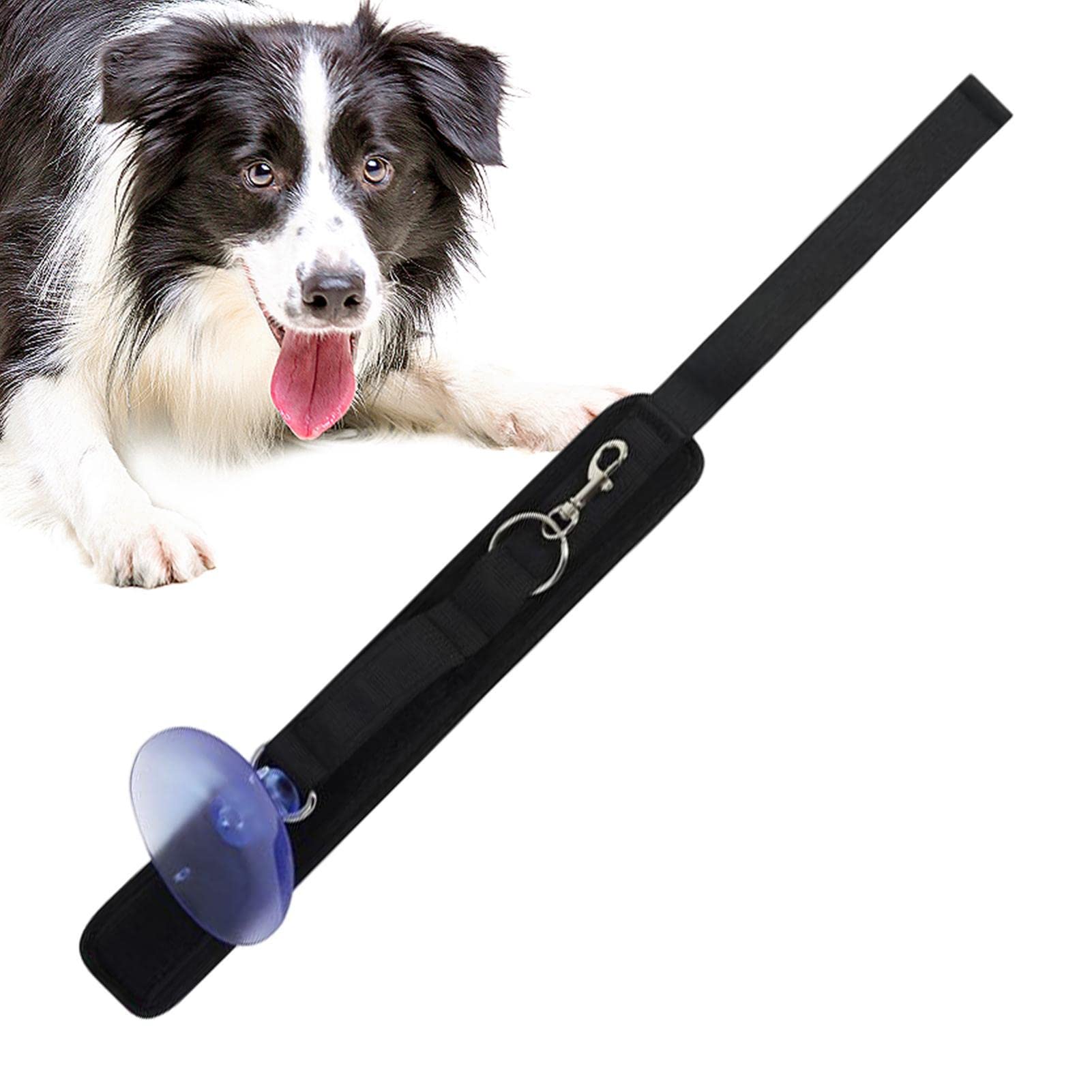 Bain pour Chat,Laisse d'Bain avec Ventouse | Laisse retenue Baignoire toilettage Chien avec Collier réglable pour la et Le toilettage Chat Chien