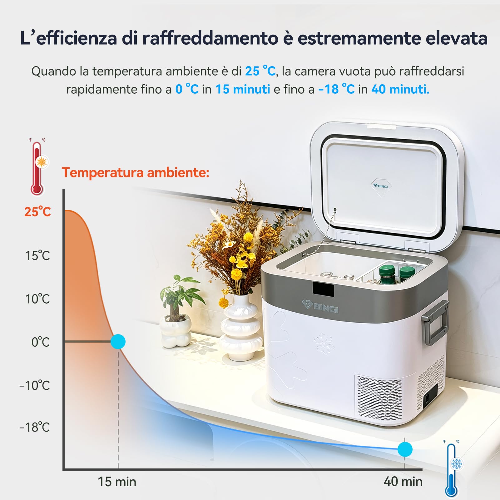 BINGI - Frigorifero con compressore, 22 l, mini frigorifero elettrico portatile, 12/24 V DC, congelatore elettrico portatile, per auto, camion, picnic, campeggio e uso domestico