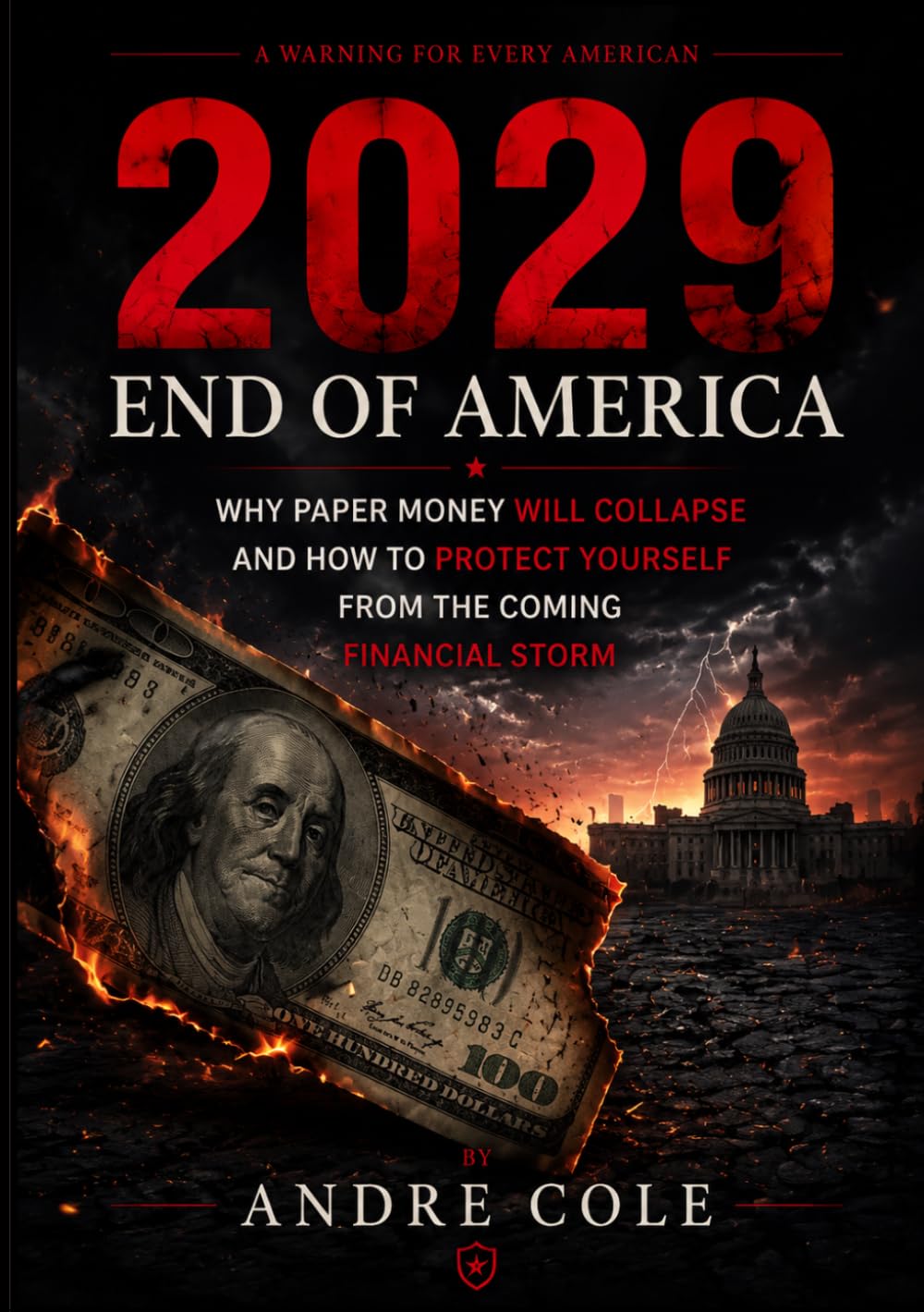 2029 End Of America: Why Paper Money Will Collapse and How to Protect Yourself from the Coming Financial Storm