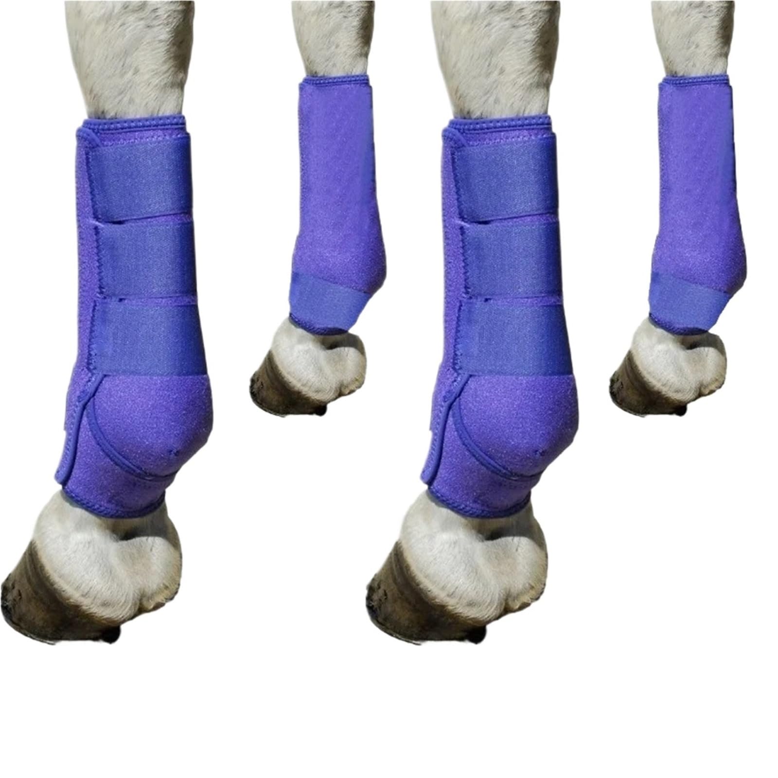 Buty muchowe dla koni 4 szt. neoprenowe buty na ścięgno konia