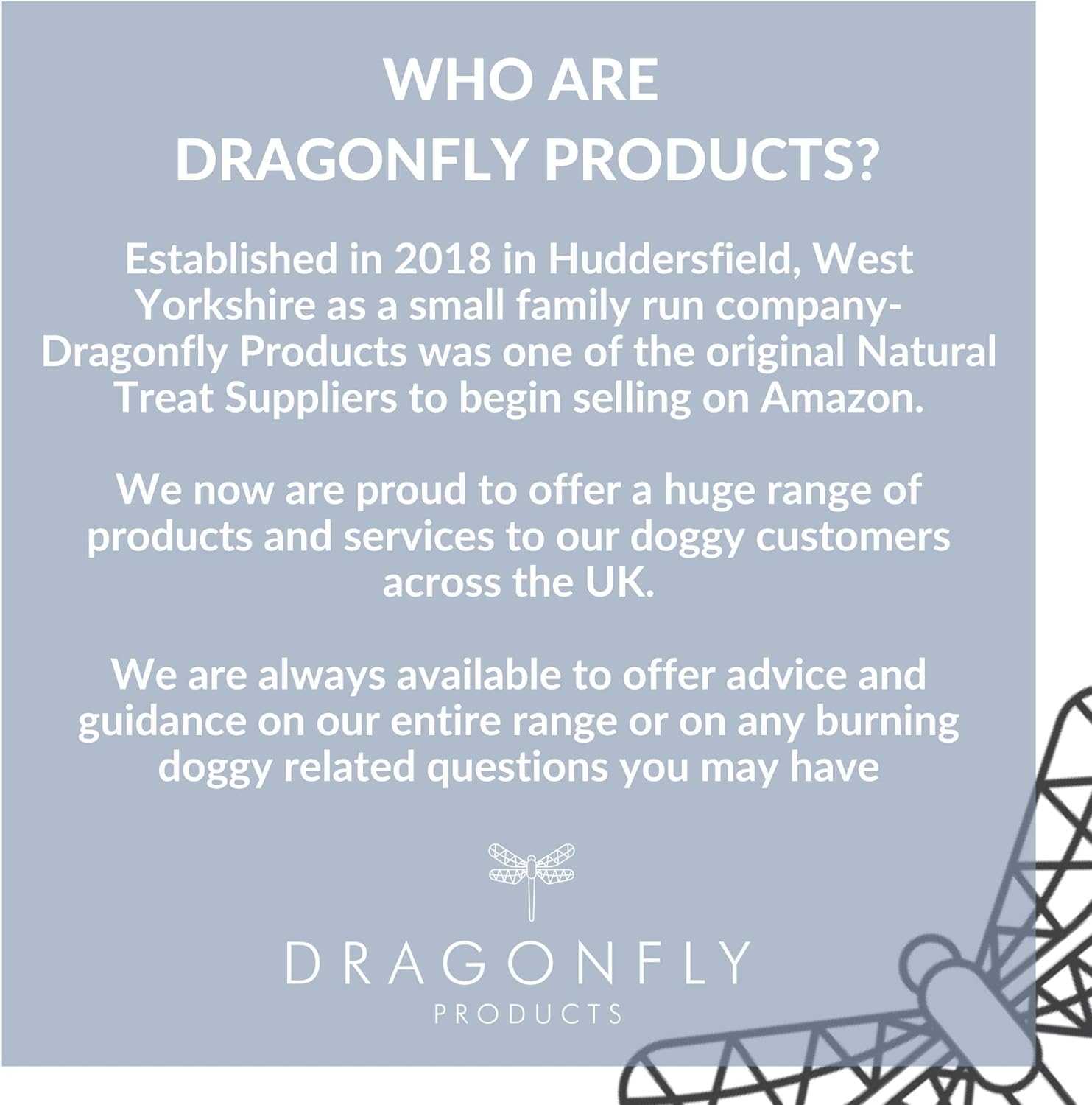 Dragonfly Products Grain Free Puppy & Adult Dog Training Treats - 100% Pure Meat - Healthy Low Fat Dog Treats - 250g (Beef) 10 71lBnc38rsL. AC SL1500