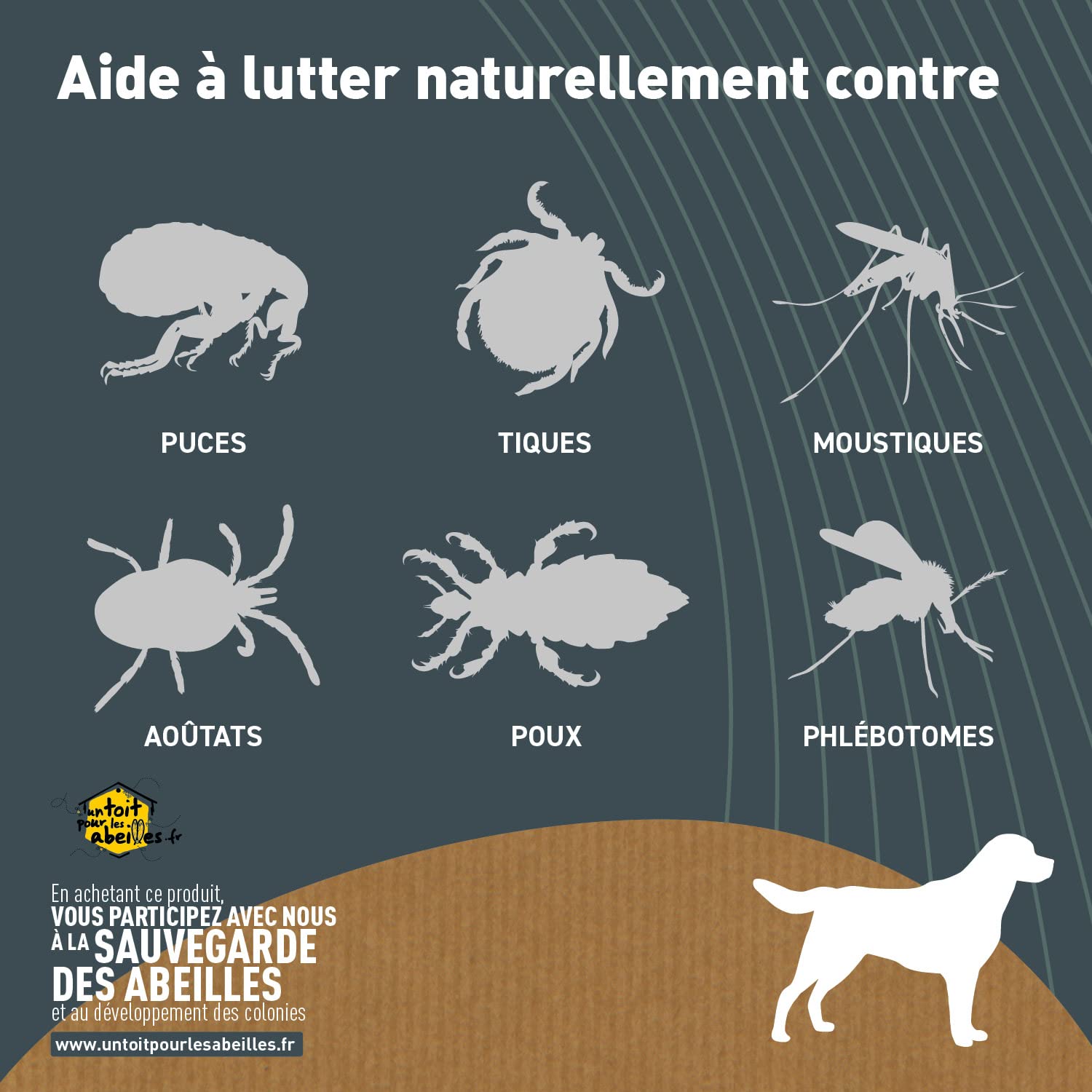 BIOVETOL - Pipettes Antiparasitaires Chien - Antiparasitaire Bio Certifié Ecocert - Anti-puces, Anti-Tiques (pour Moyen Chien (de 15 à 30 kgs), 3 pipettes + 1 Offerte)