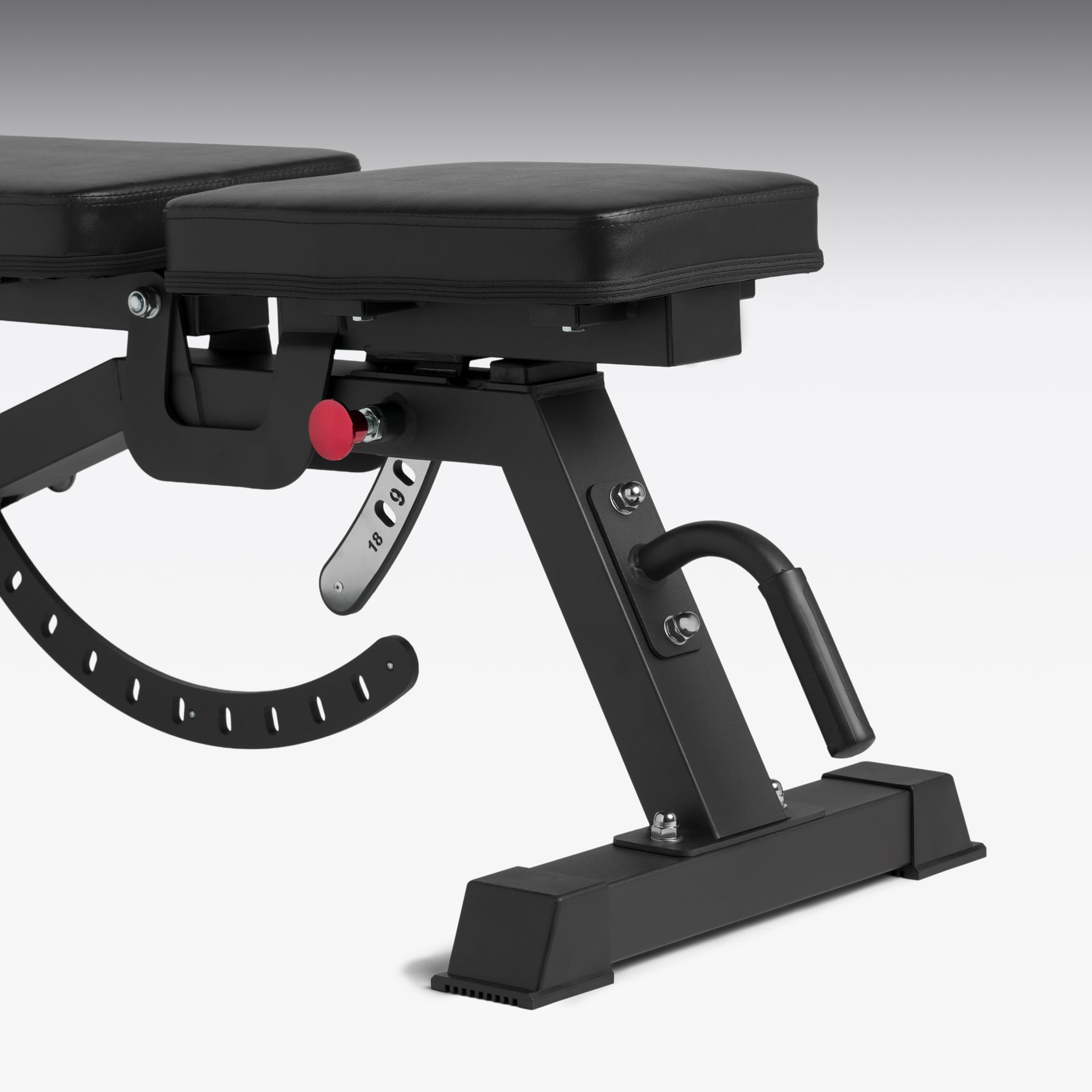 Panca Multifunzione Regolabile per Home Gym