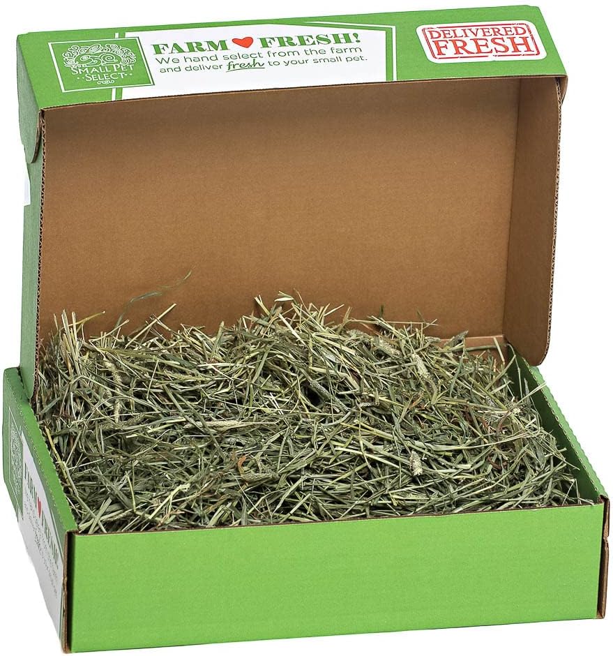 Small Pet Select 2nd Cutting Timothy Hay Pet Food, 10-Pound : Everything Else