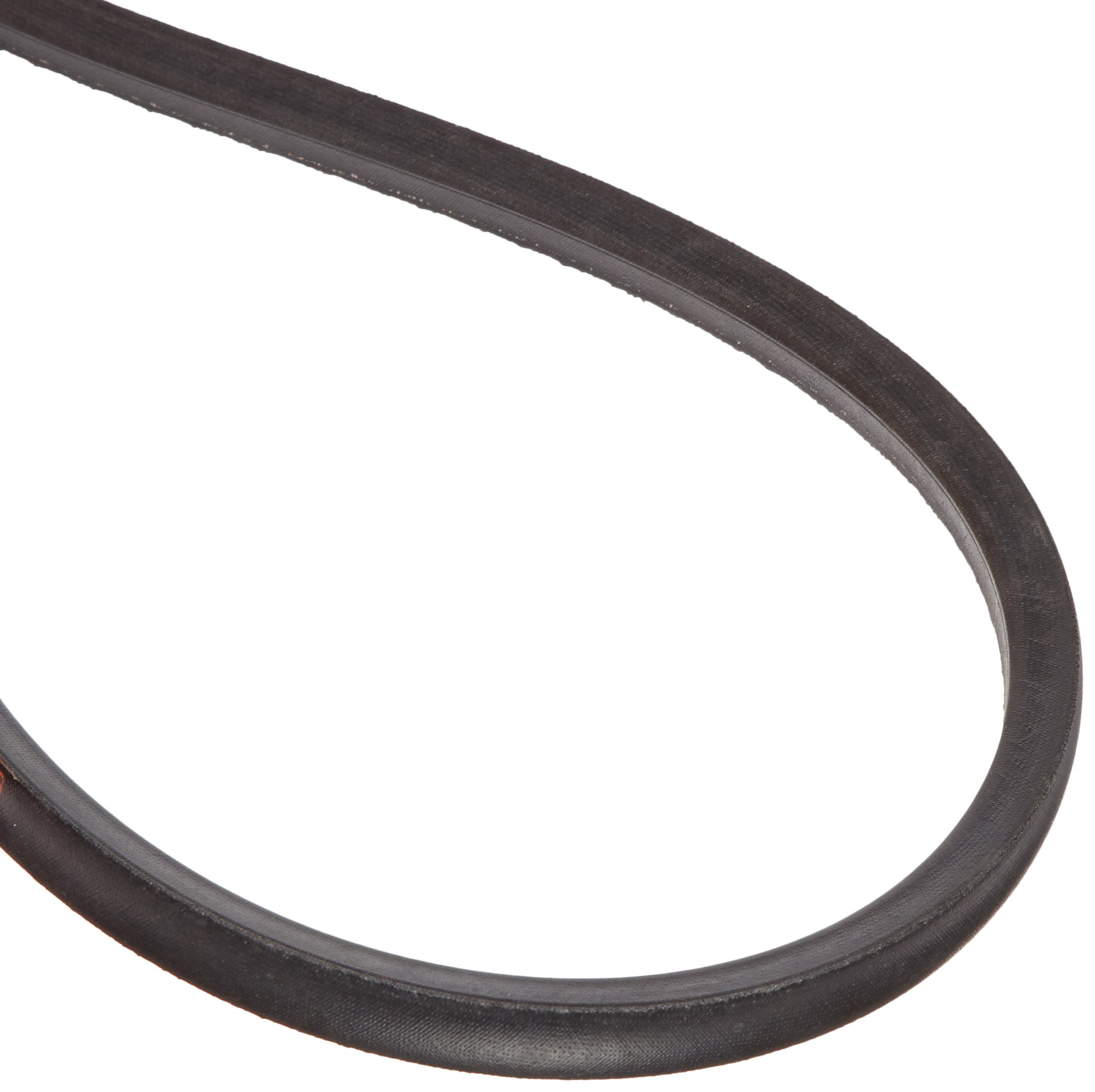 B81 Hi-Power II Belt