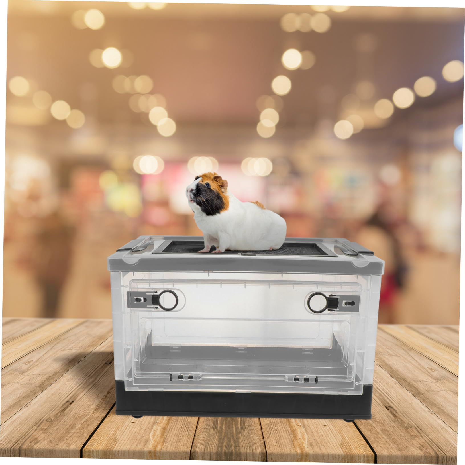 Hemobllo Caja Nido para Hámster Termoaislada, Jaula Plegable para Animales Pequeños, Terrario De Plástico Negro para Mascotas, Espacio Seguro para Hámster y Roedores