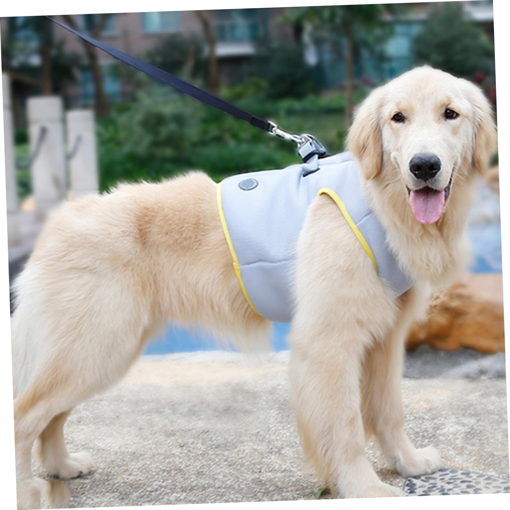 Gilet Rafraîchissant pour Chien et Chiot, Modèle L, Maille Coton