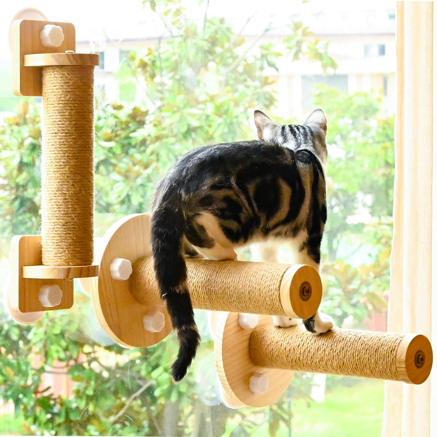 review Cat Window Perch Hammock with Climbing Steps and Scratching Post Wooden Window Mounted Stairs Cat Bed for Indoor Cats (A)