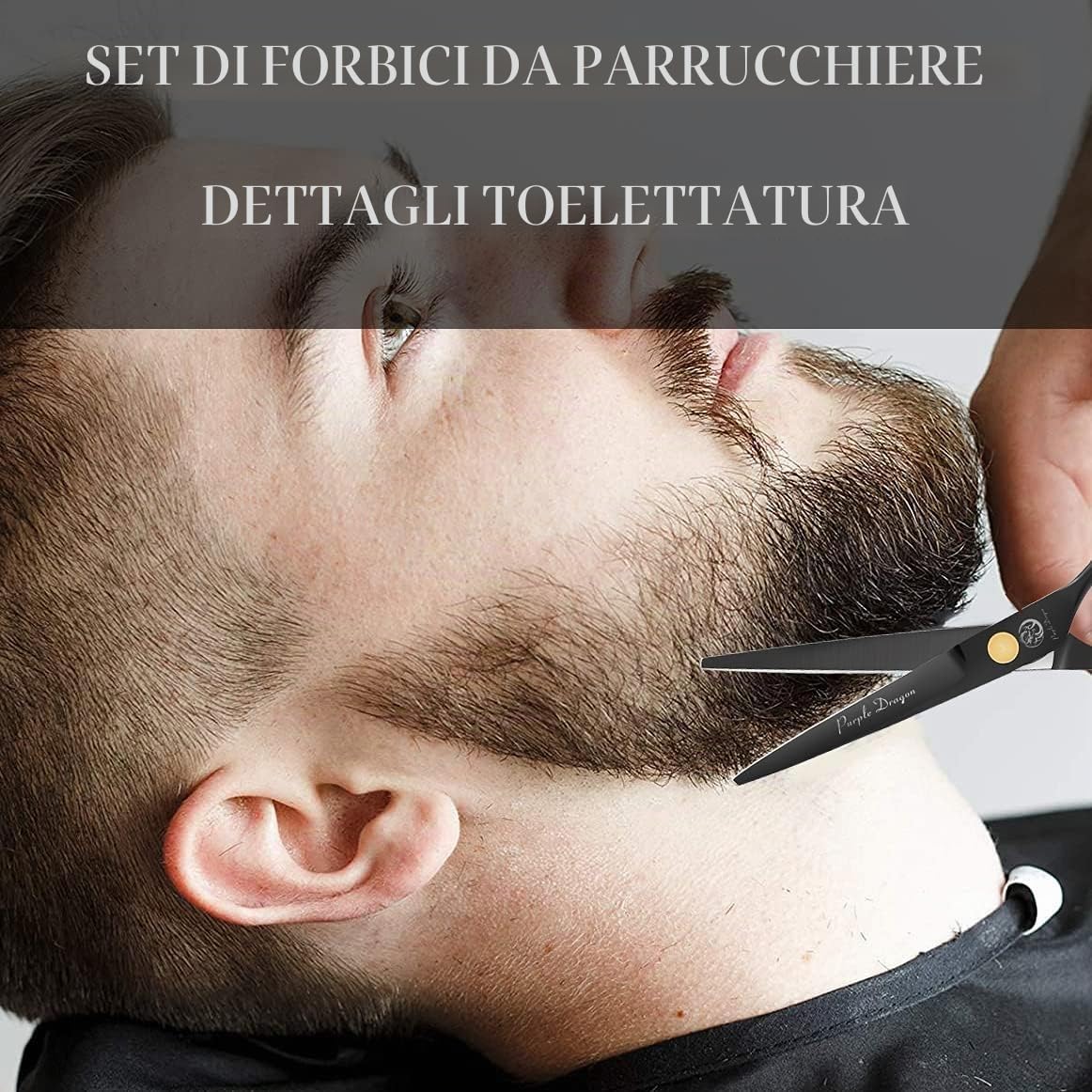 Purple Dragon - Set di forbici da taglio con rasoio, 14 cm, in titanio professionale, per parrucchiere, barbiere, per sfoltire e testurizzare i capelli, per parrucchieri professionali o uso domestico