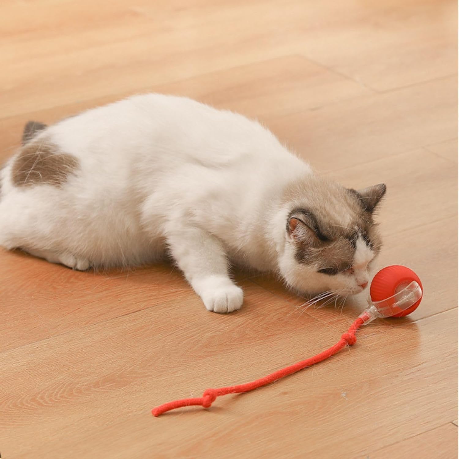 Eptchn interactive dog ball, active rolling ball for dogs cat toys, smart interactive dog toys, rechargeable electric cat toy ball - Image 3