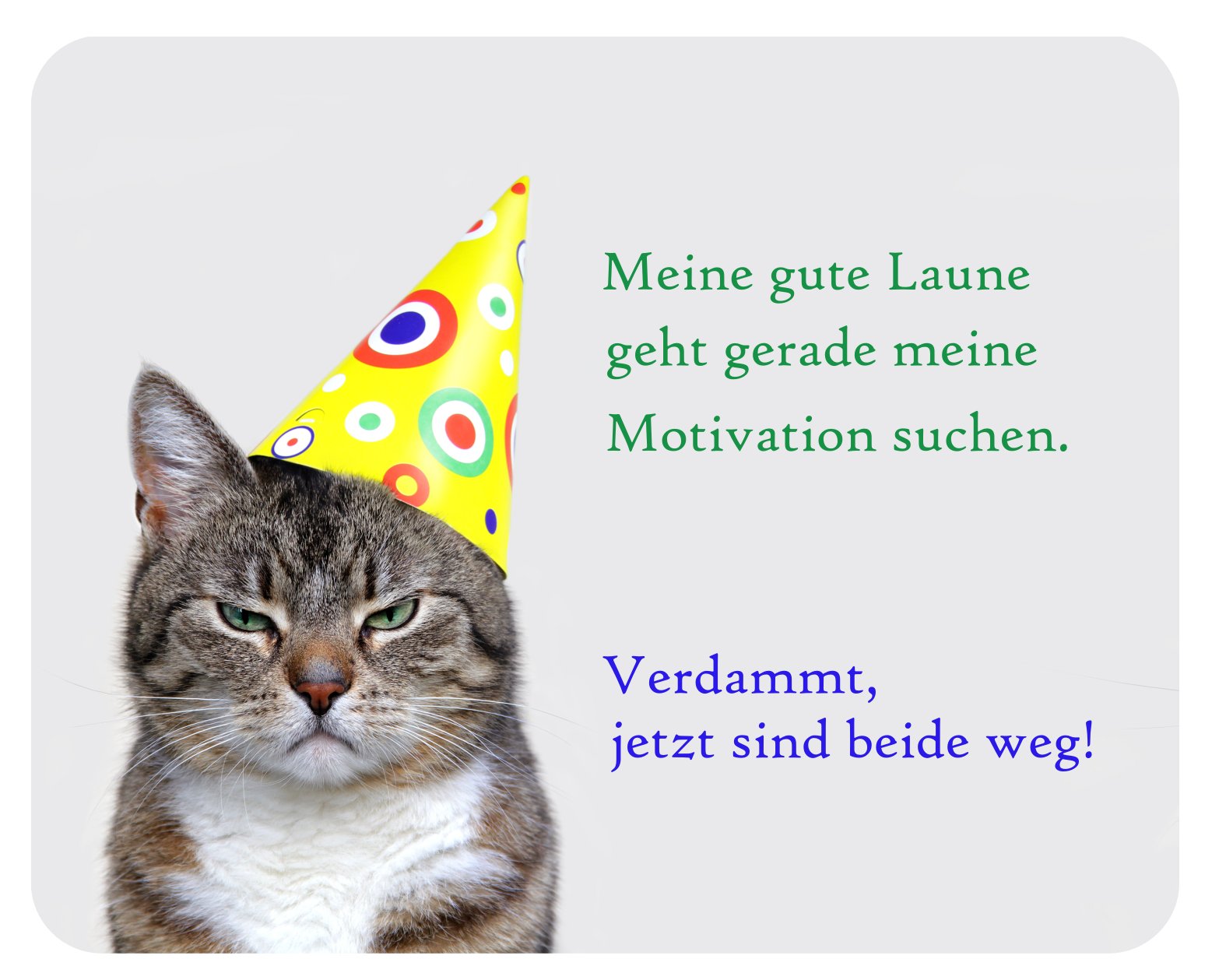 m. kern Mouse Mat with Core 24 x 19 cm Good Mood Searches Motivation Cat Motif Plastic Colourful