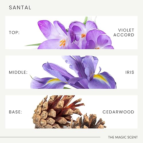 Miniatura 6 de The Magic Scent Santal - Aceite aromático difusor, aceites difusores de aroma Santal, aromas de lujo para el hogar, aceite de sándalo, 8.5 onzas