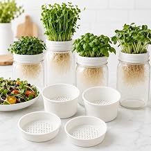 Microgreens Growing Kit, 4-Pack