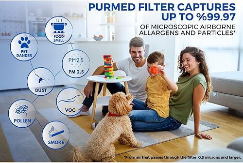 Miniatura 5 de Filtro purificador de aire de repuesto