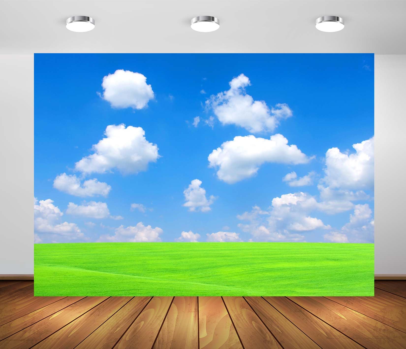 BELECO 6x3m Fabric Cielo Blu E Prato Verde Sfondo Fotografico | Scenario Naturale Luminoso Con Prato Verde Cielo Estivo Blu E Nuvole Bianche Per Feste Eventi E Ritratti