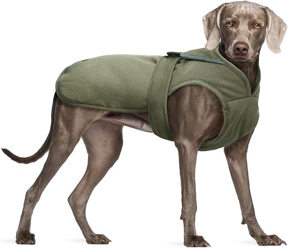 carhartt dog jacket amazon