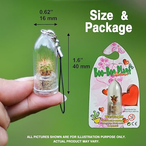 Miniatura 3 de Boo-Boo Plant planta miniatura esponjosa de mascota