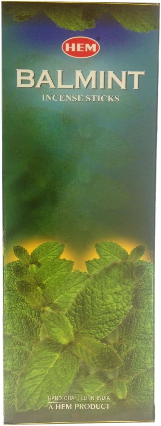 Hem 6 Pack 20 Stick Spearmint Box of Six 20 Stick Tubes 120 Sticks