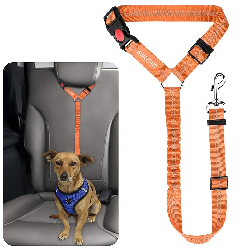 Cinto de Segurança para Cães BWOGUE em Nylon com Guia Elástica, Orange, 1 unidade