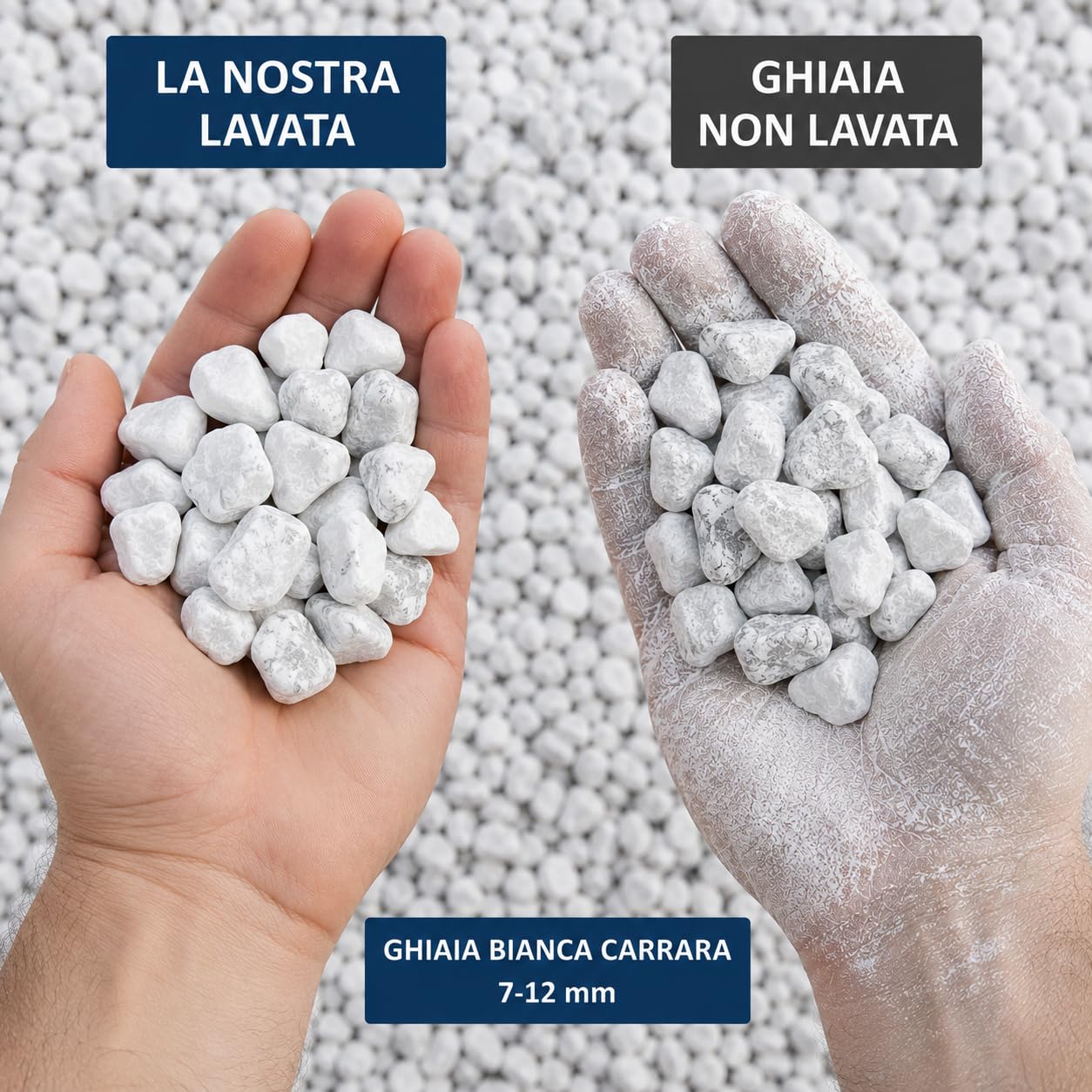 Ghiaia Bianca Decorativa 7–12 mm Pre-lavata – Sassolini per Vasi e Giardino – Ideale per Drenaggio e Decoro – Pietra Naturale – 1,8 kg - 4 kg - 8 kg -16 kg- 22 kg (BIANCO 1,8 KG)