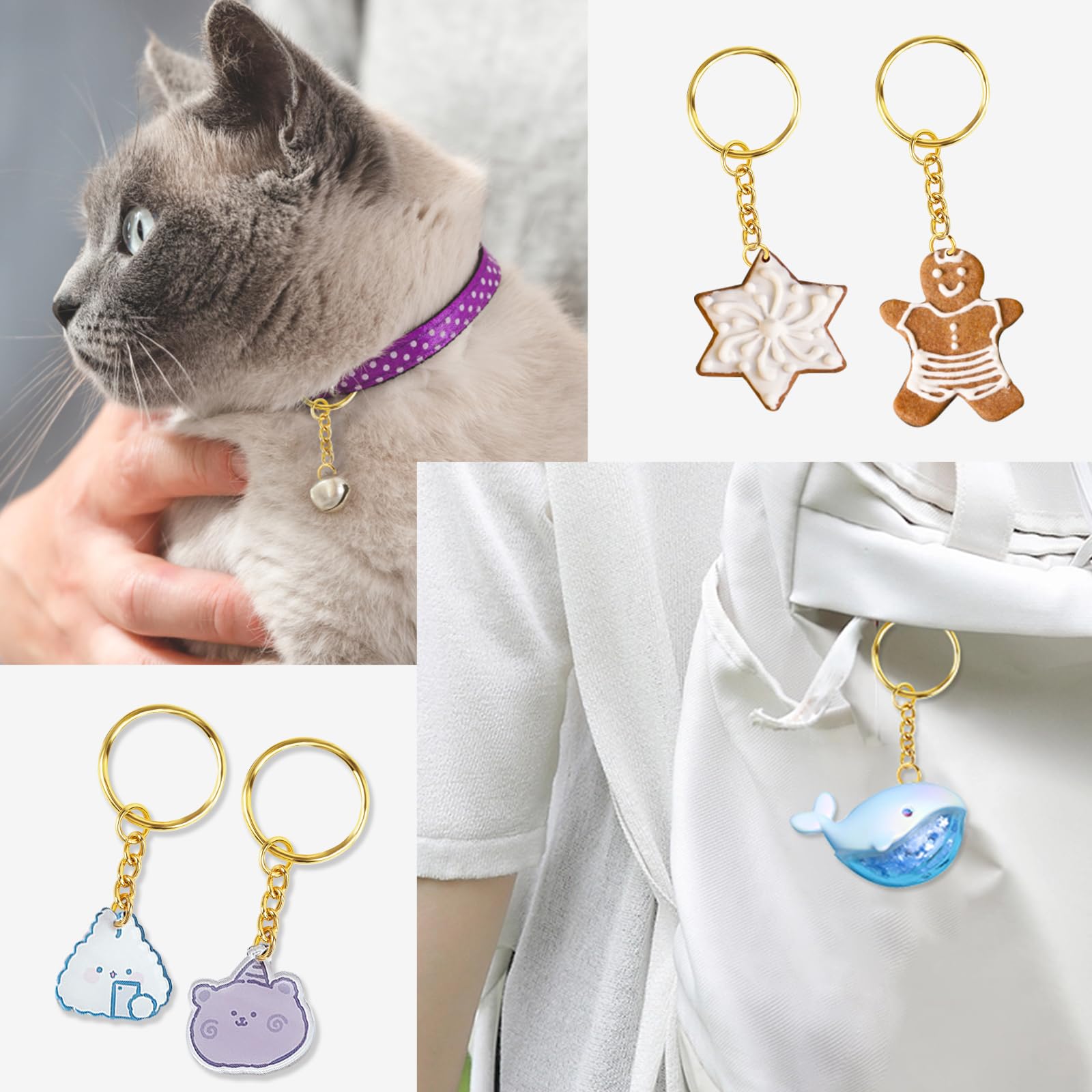 neopren halsband hund Hundehalsband Bella – Robust, stilvoll & weich gepolstert – Rudelkönig
