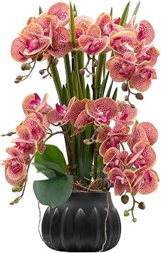 CXGS Artificial Orchid Flower Plant 19.7 Real Touch Faux Orchids in Ceramic Vase Purple Dapple Fake Phalaenopsis Flower Arrangement Silk Orchids with Stems for Centerpiece Table Home Indoor Decor