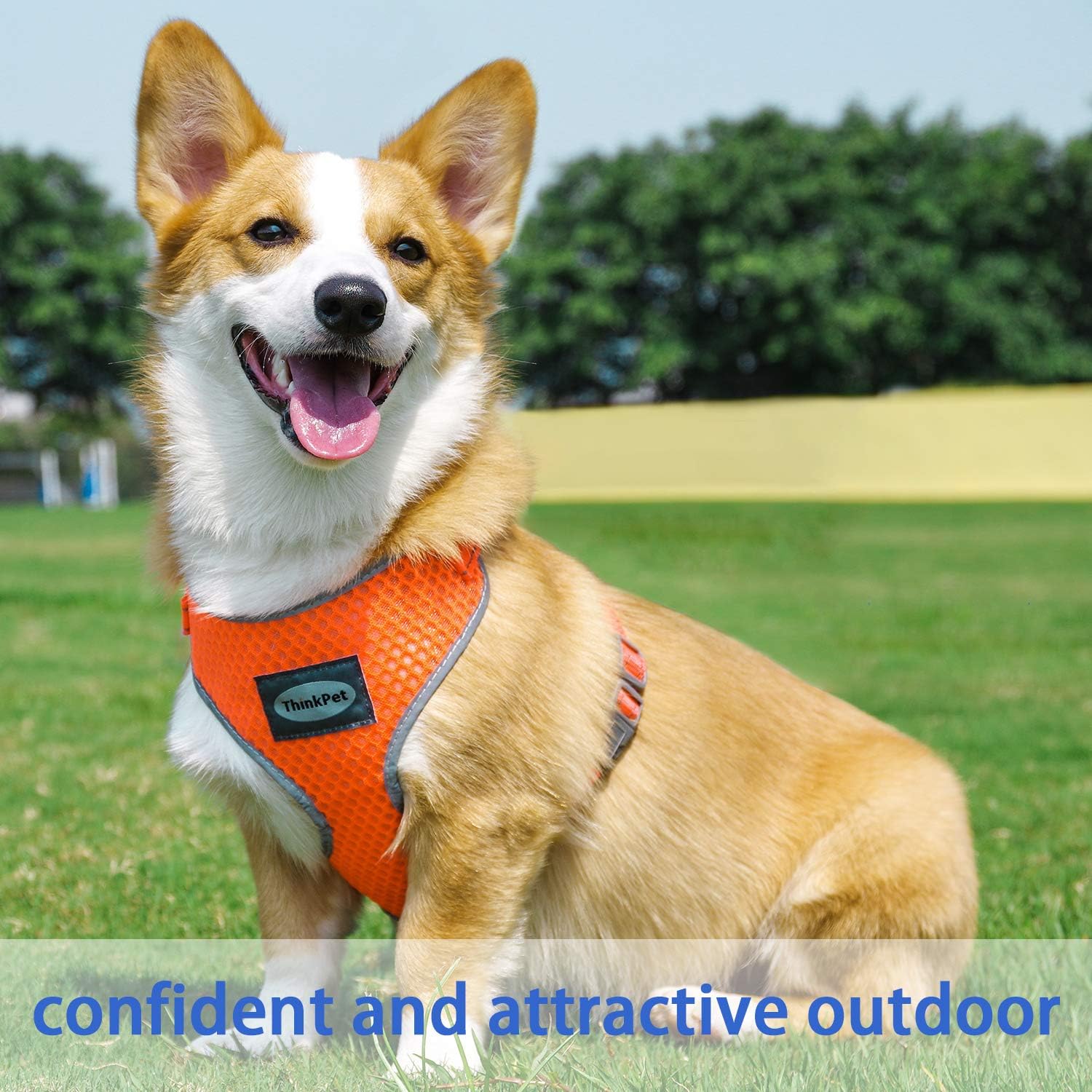 ThinkPet Reflective Breathable Soft Air Mesh No Pull Puppy Choke Free Over Head Vest Ventilation Harness for Puppy Small Medium Dogs (Neon Rosary,XL) - Image 4
