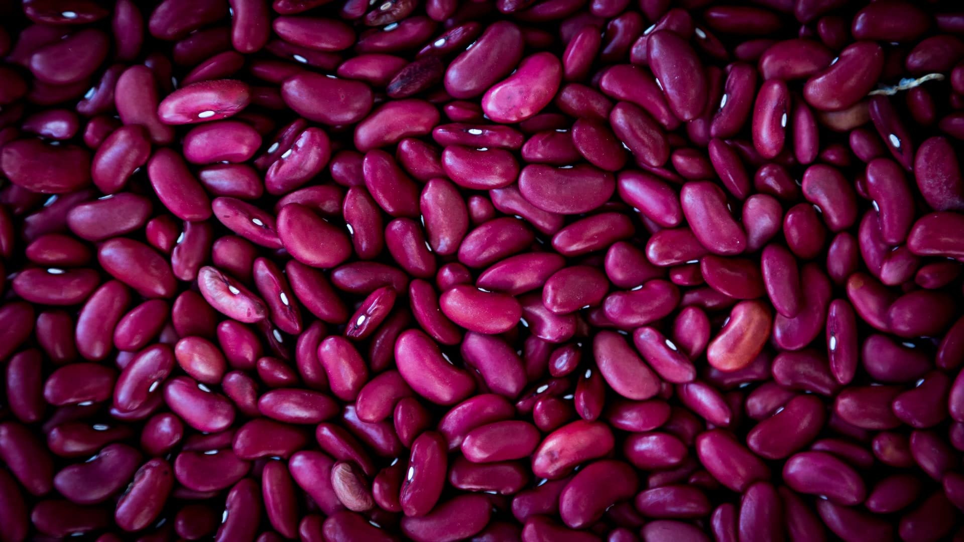 Kamelur Rote Kidneybohnen Getrocknet (2,5kg) - Kidney Bohnen Bio ohne jegliche Zusätze