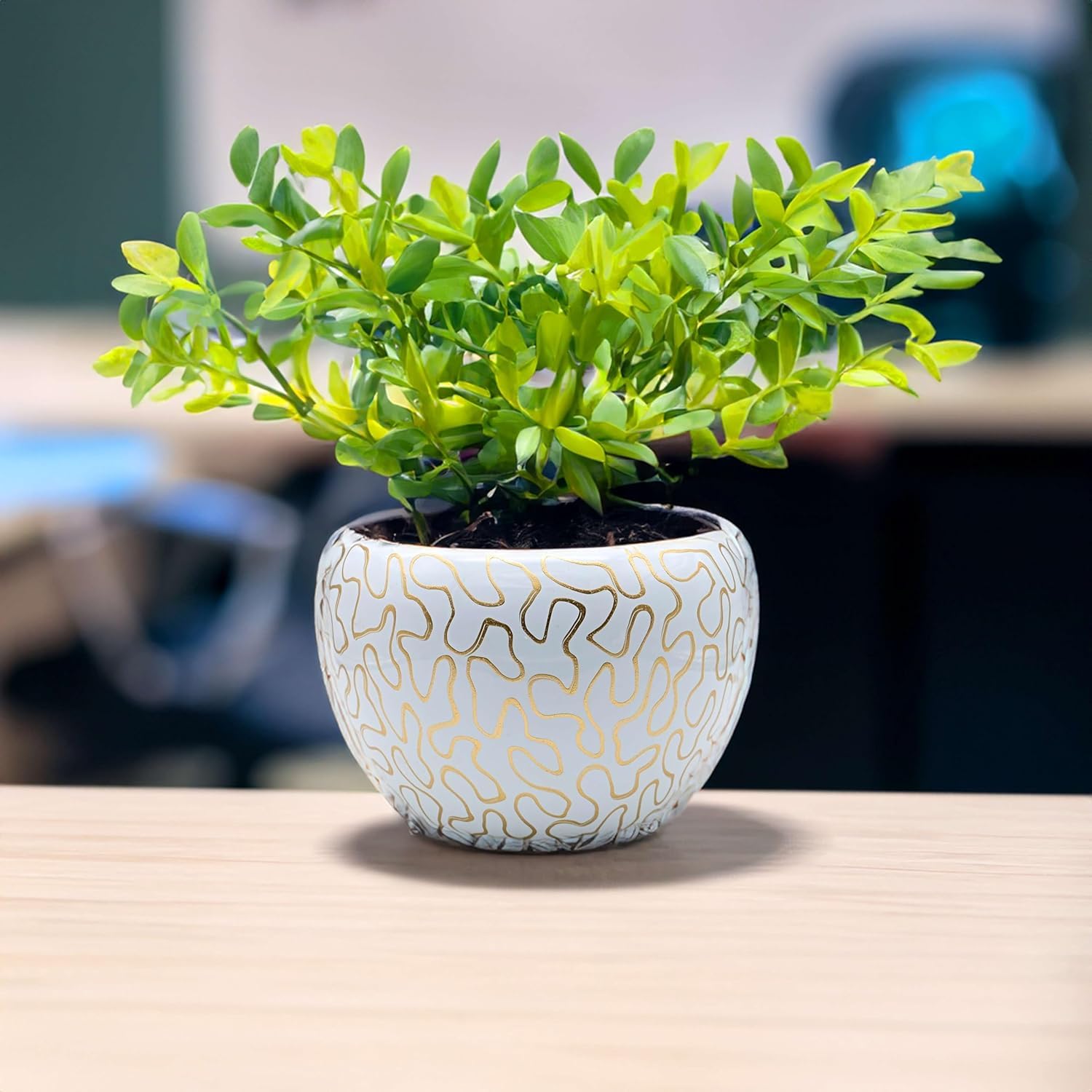 DECOR DIARIES Gold Metal Pots for Indoor Plants with Drainage Hole | Designer Flower Pot & Planters for Home Décor, Living Room, Kitchen, Bedroom, Table Top, Office, Gifting (1 Pack) (B0DGX7PVRC) Amazon Price History, Amazon Price Tracker