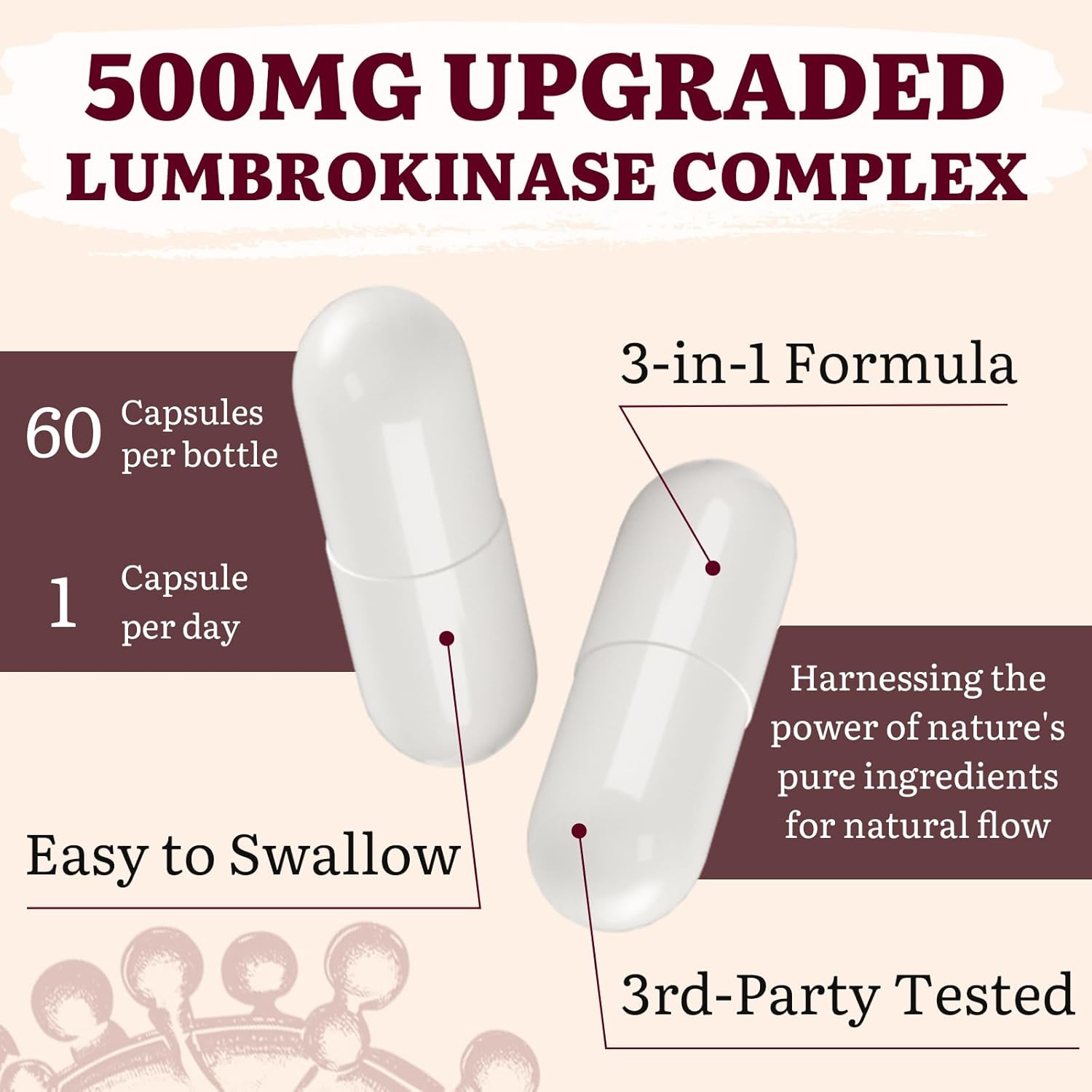 Lumbrokinase 100mg (Max Activity 1,000,000 LKU),Nattokinase 100mg-2,000 FU of Activity and Red Yeast Rice 300mg, Lumbrokinase Enzymes Supplement for Circulatory,Cognition,120 Capsules(Pack of 2) - Image 7