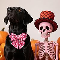 Vista 74 de Maca Bates Fall Maple Leaf Dog Collar with Sailor Bow Tie for Extra Small Girl,Boy,Autumn Foliage Puppy Collars with Bowtie Breakaway Adjustable