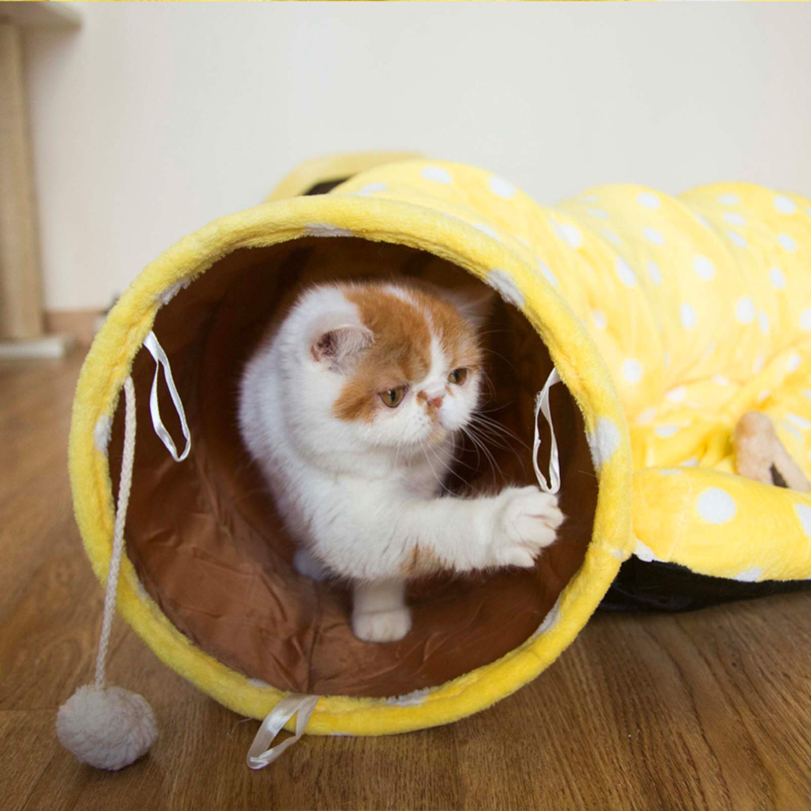 Tunnel pour Chat Pliable Jouet pour Chaton Nid pour Animal De Compagnie