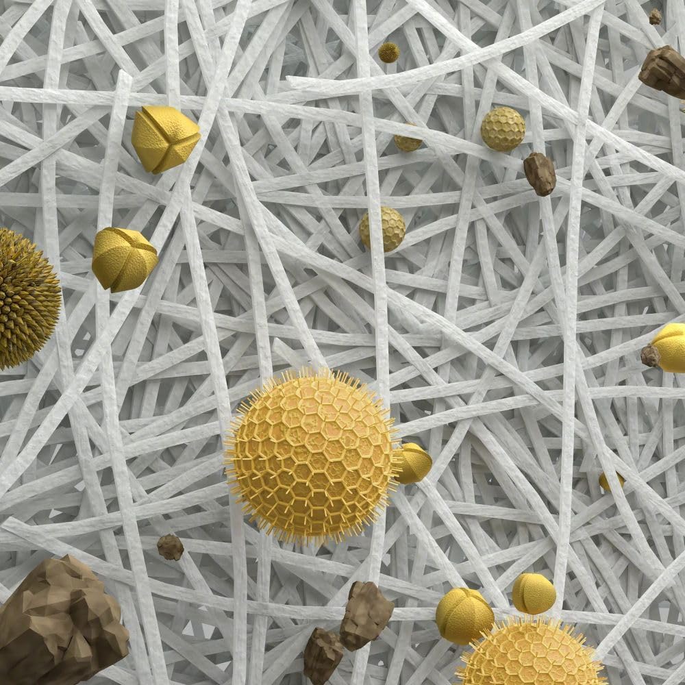 Breathe Easy: Review of iRobot Roomba