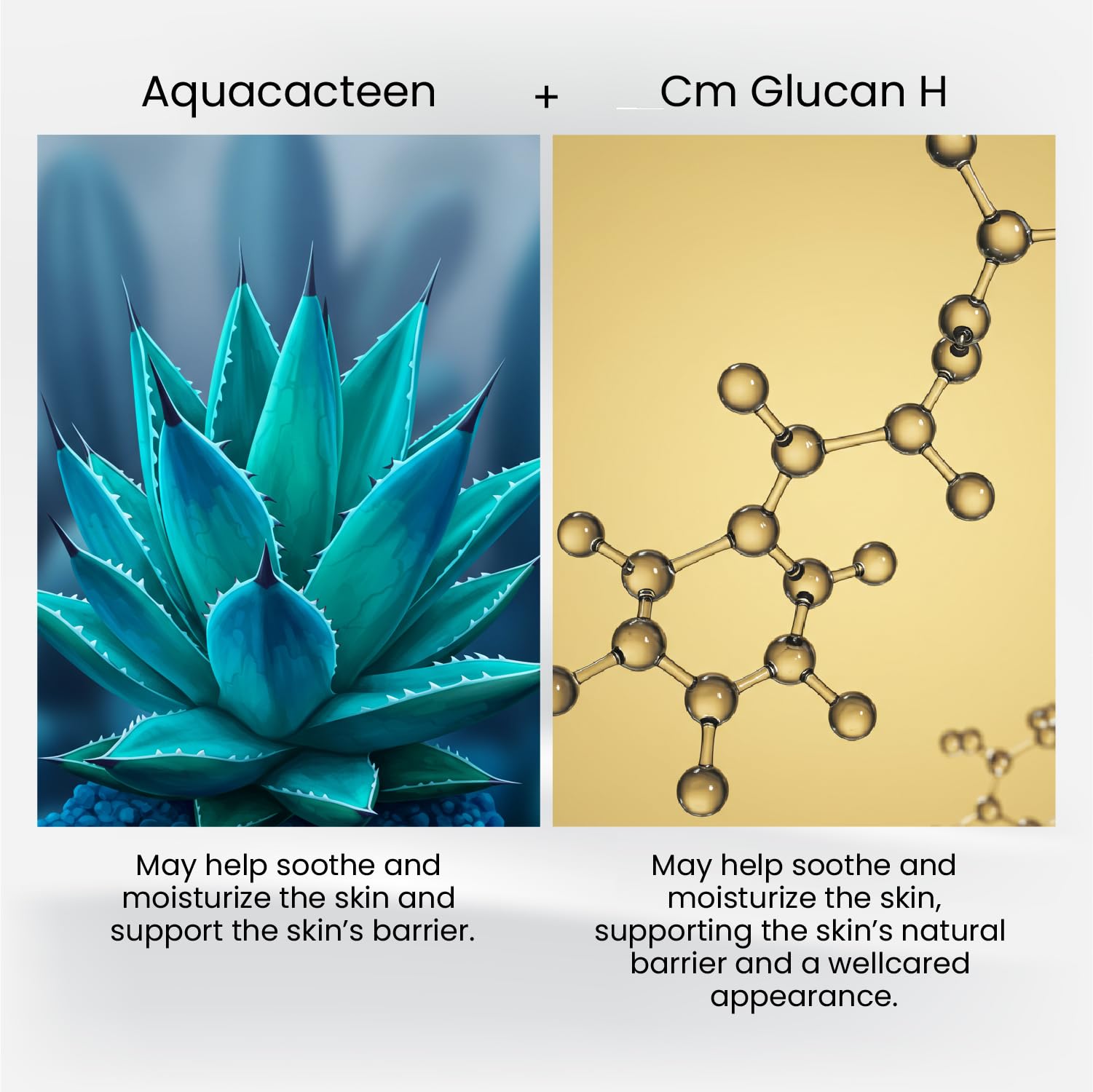 HairMD Crema idratante per la crescita dei capelli e lozione riparatrice (1 mese) Trattamento anticaduta per capelli diradati/secchi e procedura post-trapianto di capelli con biotina, cheratina
