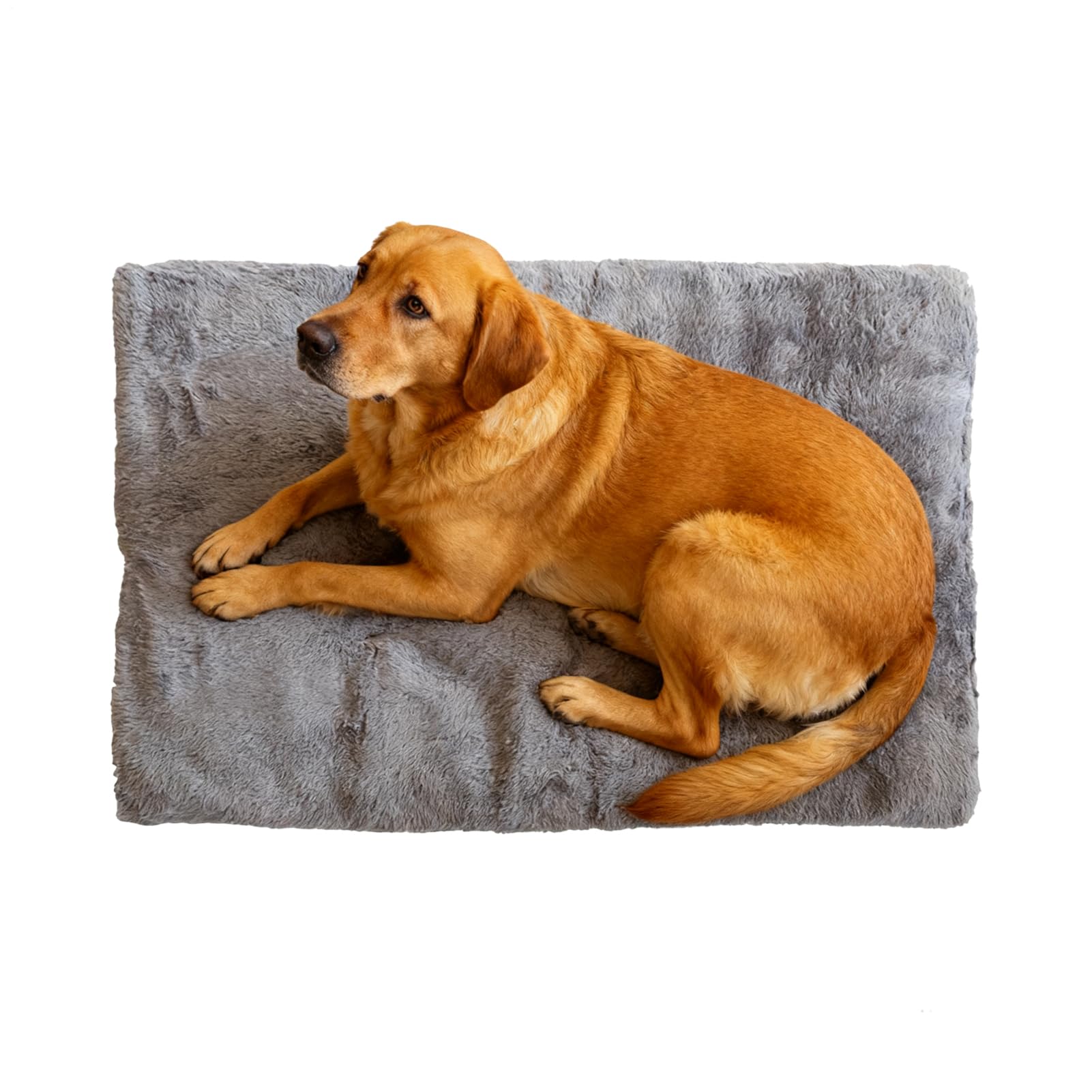 Invernale Per Cani Comfortevole Grande Cuscino Antiscivolo per Animali | Materassino Da Per Gabbia E Cuccia Per Appartamento Dormitorio Casa Soggiorno Camera Da