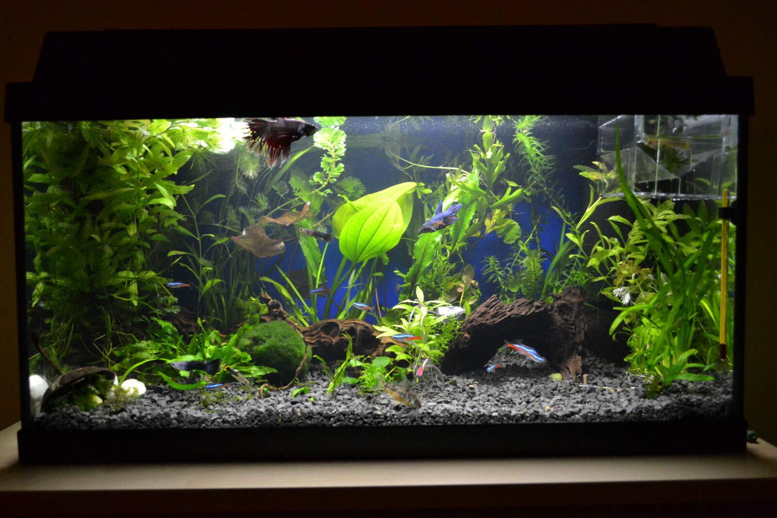 View 8