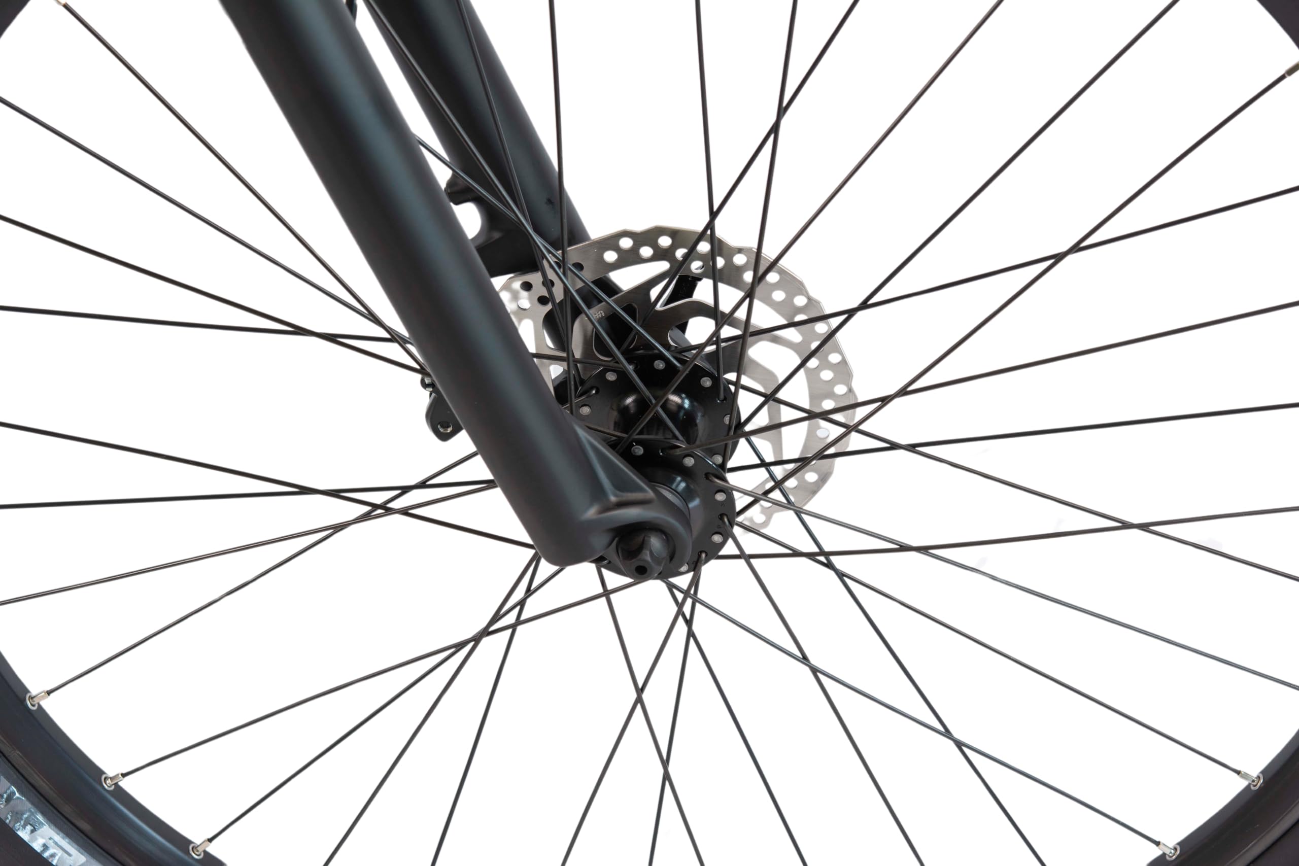 F.lli Schiano E-Mercury, Bici Elettrica Mountain Bike 29 Inches per Adulti, 36V 11.6Ah Batteria Rimovibile, Motore 250W 50Nm, MTB Ebike