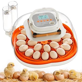 APDOE Egg Incubators for Hatching Eggs, Temperature and Humidity Control, Automatic Egg Turning, Egg Candler, External Water Bottle, Air Vent, for Chicken, Duck & Quail Eggs, 25 Eggs