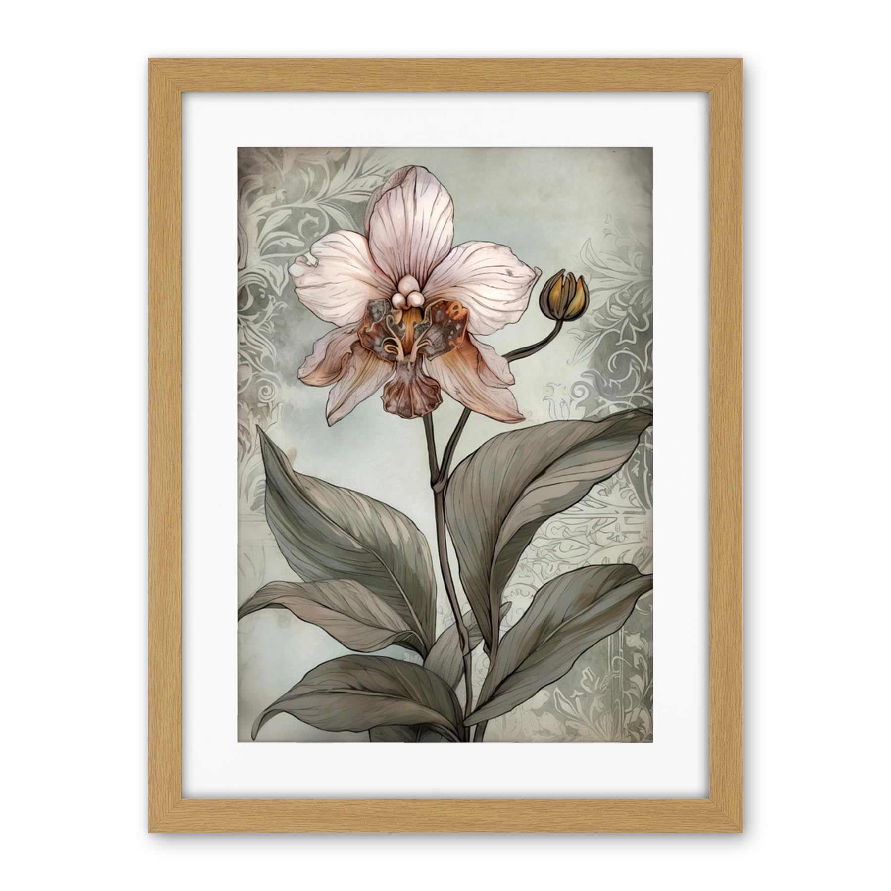 Artery8 Art Nouveau Pink Orchid Bloom Flower Watercolour Artwork Framed Wall Art Print 18X24 Inch