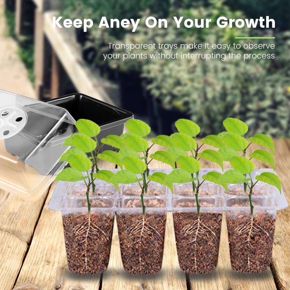 5 Plateaux Semis Mengxin 54x28cm - Pour Germination Et Culture