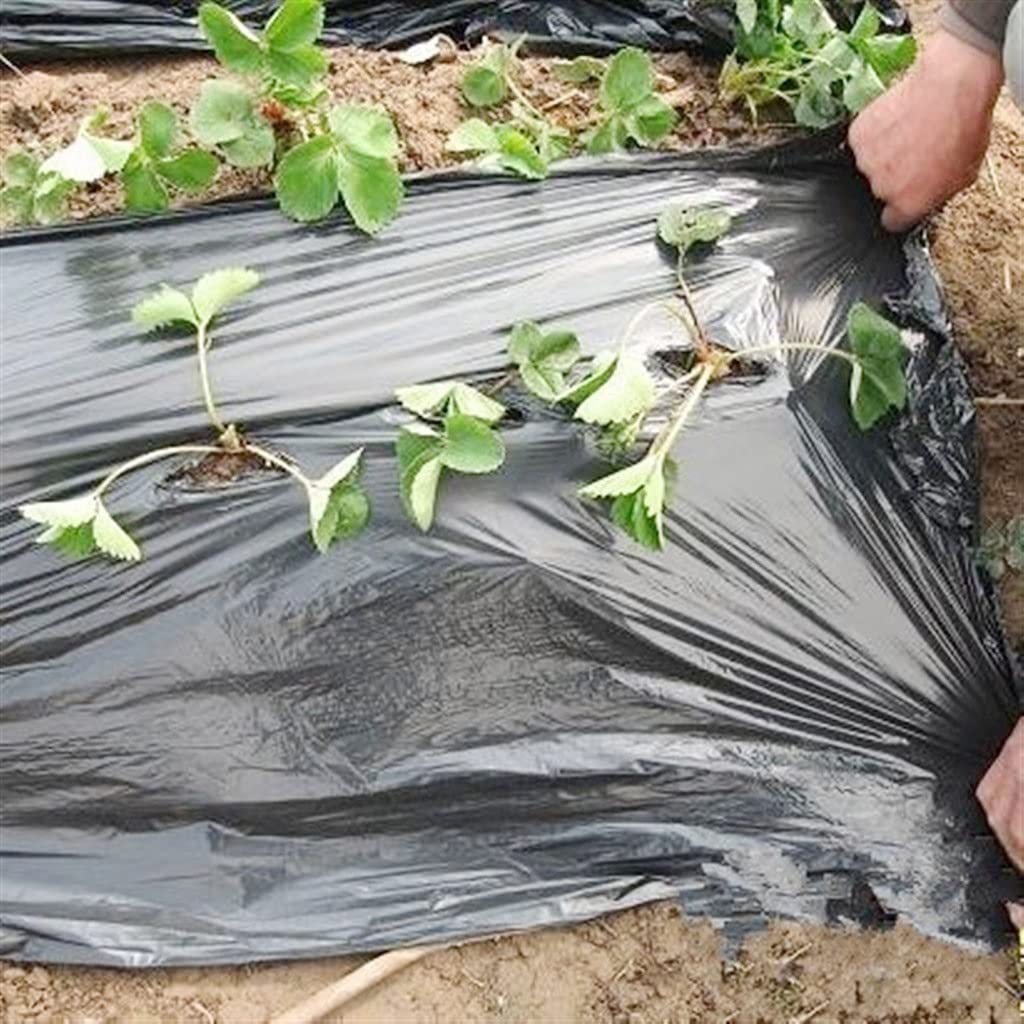 Membrana, Película agrícola Negra de PE con Efecto Fresa