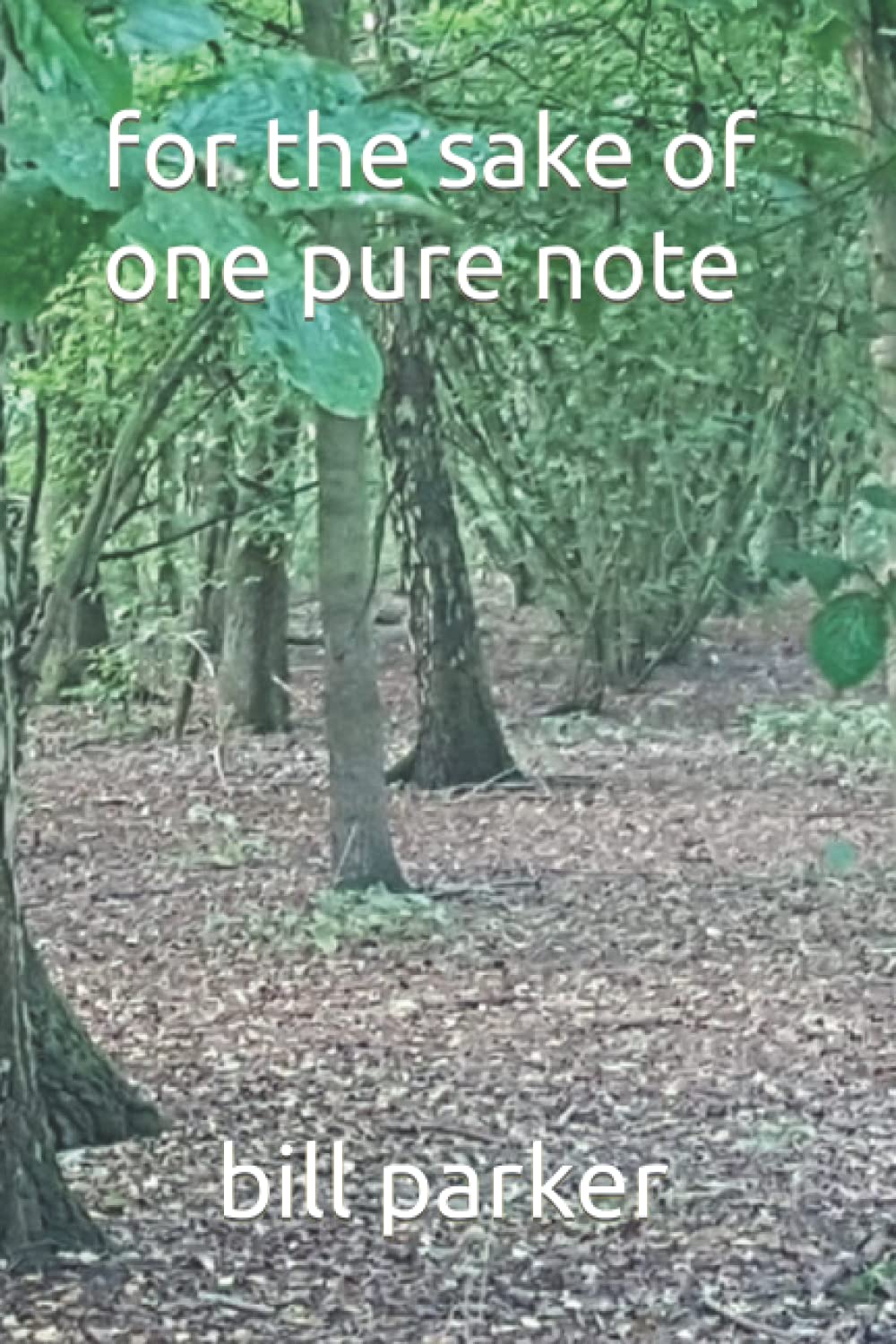 for the sake of one pure note