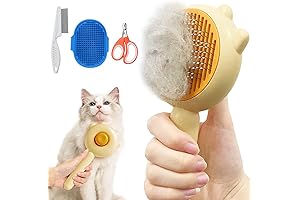 Cat Brush and Nail Clipper Set: Essential Grooming Tools for Your Feline Friend