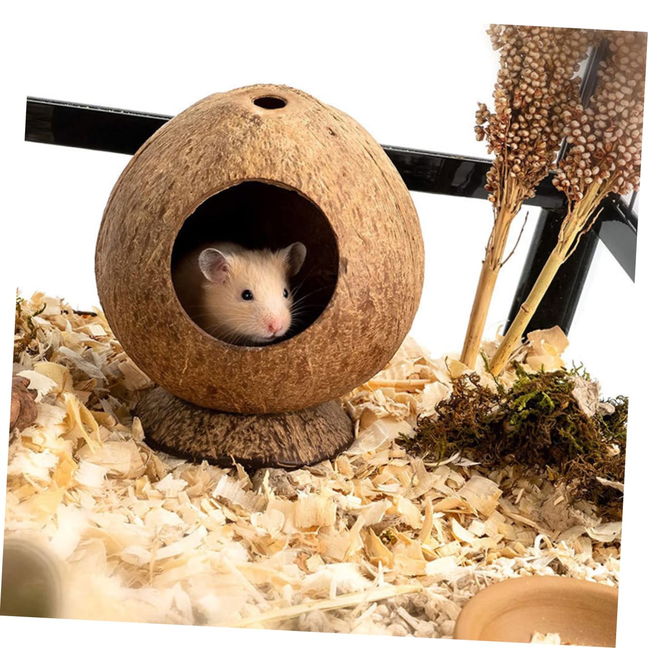TOYANDONA 2 Stück Kokosnussschalen Hamsterversteck Kleintierhaus Natürliches Geruchloses Versteck mit Komfortabler Schlafhöhle Platzsparend für Hamster Igel und Kleine Haustiere im Gehege