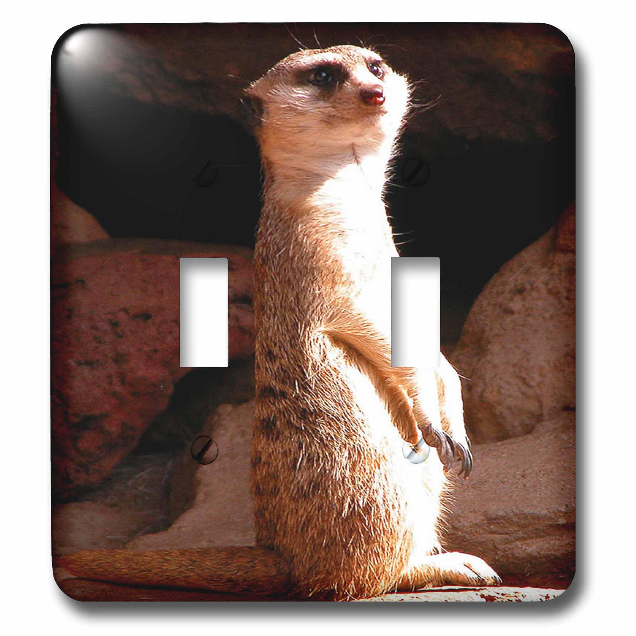 Interrupteur à bascule suricate 3dRose lsp_15215_2 avec motif haute définition