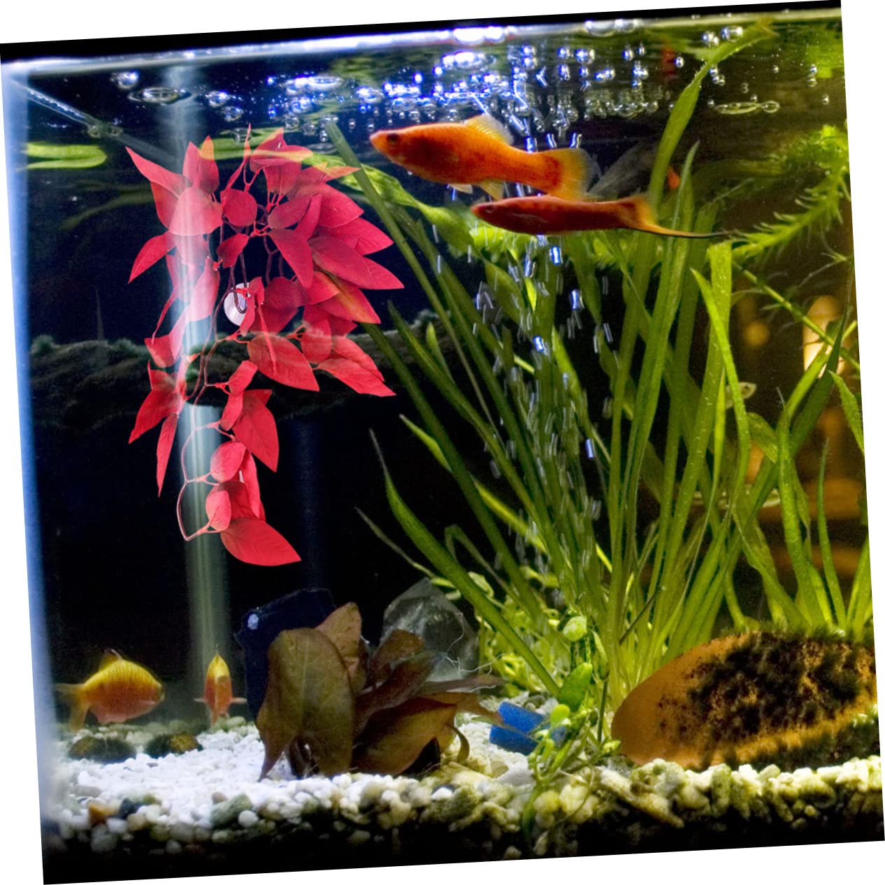 ERINGOGO 3 Set Piante Acquatiche Simulate Rettile Terrario Pianta Delicata Finta Piante Finte Decorazione Piante Di Acquario Di Plastica Accessorio Per Rettili 2 Pezzi * 3