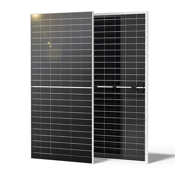 Renogy 1180W Solar Panels 2pcs 590 Watt N-Type Bifacial Solar Panel Monocrystalline