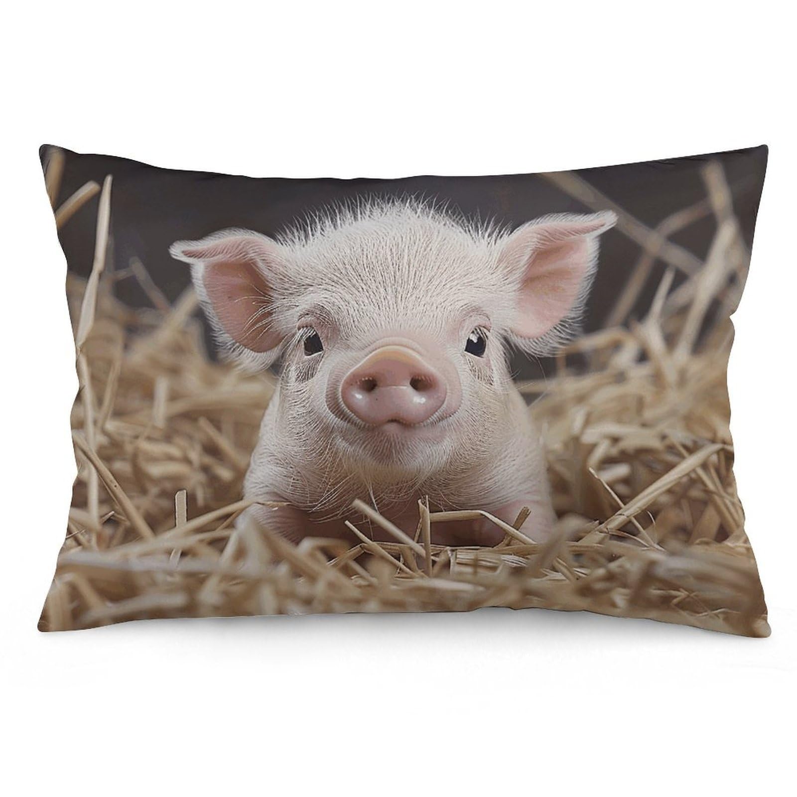NONHAI 2 Pack Pillow Cases for Hair and Skin, Soft Breathable Pillow Case Covers with Hidden Zipper, Straw and Piglet Pillowcase 16 "x24 Pillow Covers for Sleeping Gift